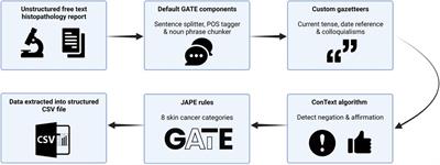 Development and validation of an automated basal cell carcinoma histopathology information extraction system using natural language processing